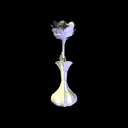 rose+vase