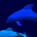 dolphins-2